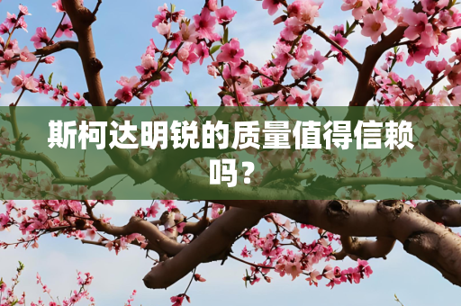 斯柯达明锐的质量值得信赖吗？