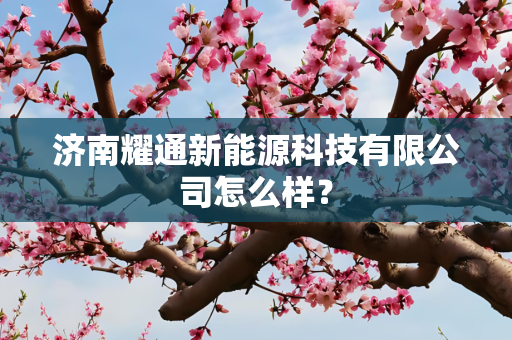 济南耀通新能源科技有限公司怎么样？