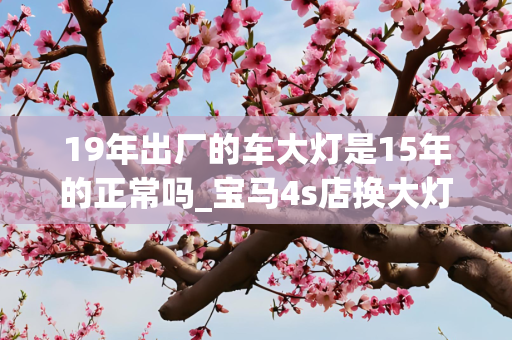 19年出厂的车大灯是15年的正常吗_宝马4s店换大灯会影响二手买卖吗