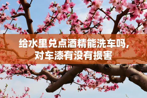 给水里兑点酒精能洗车吗,对车漆有没有损害