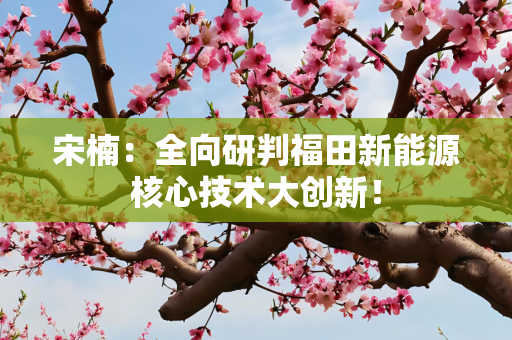 宋楠：全向研判福田新能源核心技术大创新！