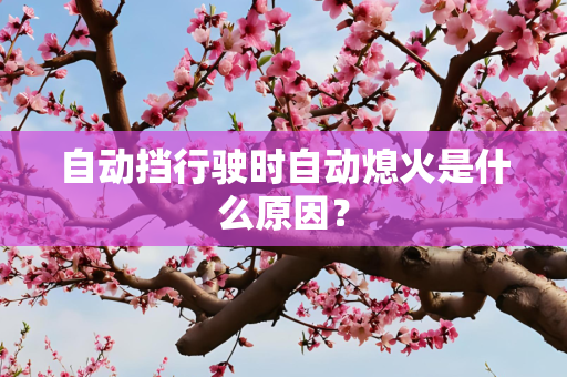 自动挡行驶时自动熄火是什么原因？