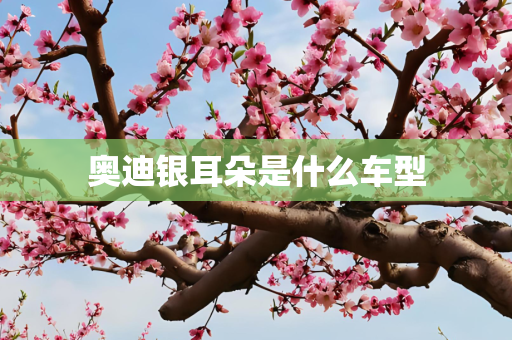 奥迪银耳朵是什么车型