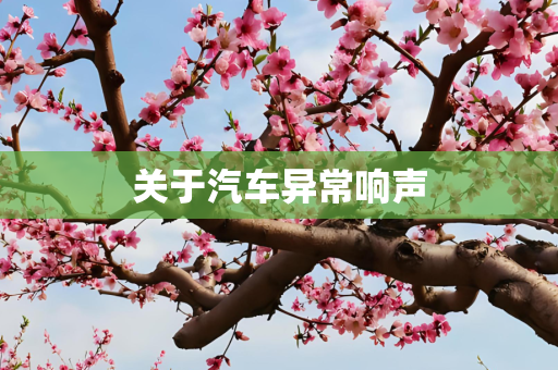 关于汽车异常响声