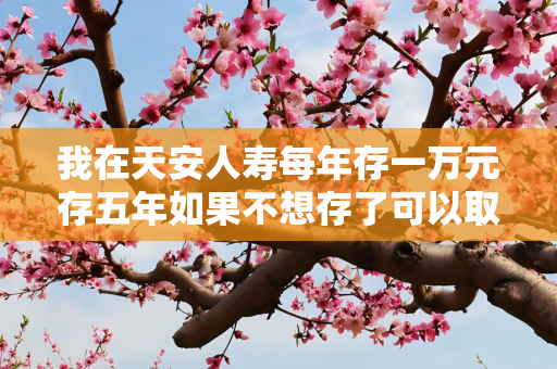 我在天安人寿每年存一万元存五年如果不想存了可以取出吗