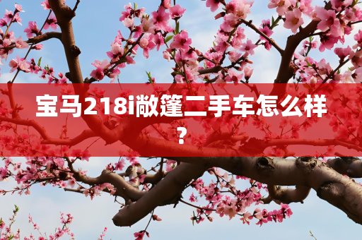 宝马218i敞篷二手车怎么样?