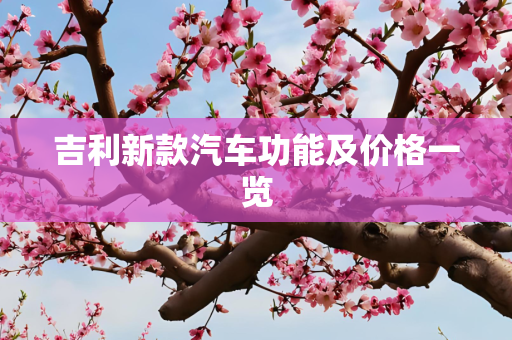 吉利新款汽车功能及价格一览