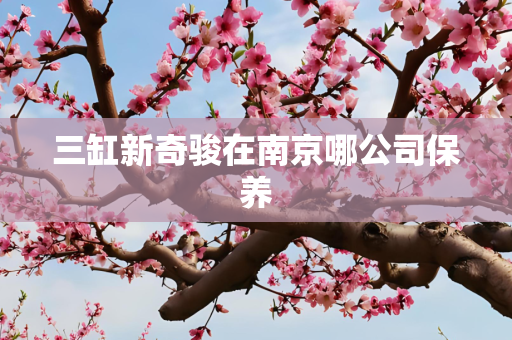 三缸新奇骏在南京哪公司保养