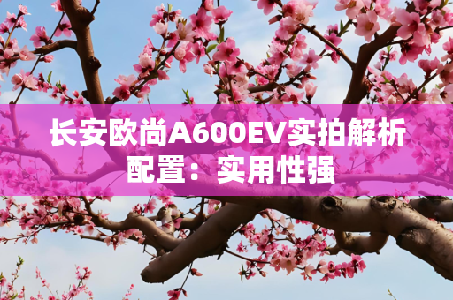长安欧尚A600EV实拍解析 配置：实用性强