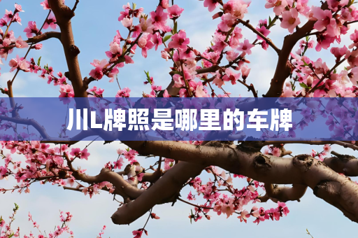 川L牌照是哪里的车牌