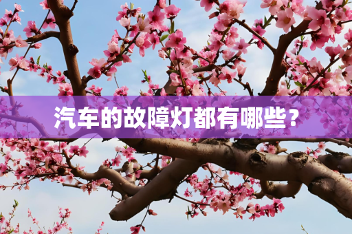 汽车的故障灯都有哪些？
