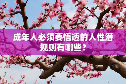 成年人必须要悟透的人性潜规则有哪些？