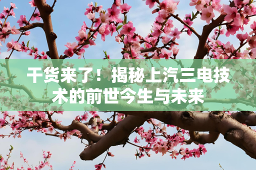 第1716页