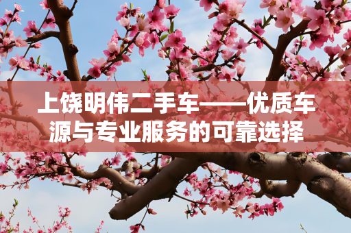 上饶明伟二手车——优质车源与专业服务的可靠选择