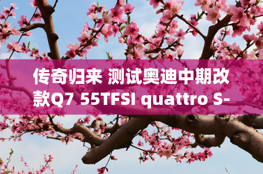 传奇归来 测试奥迪中期改款Q7 55TFSI quattro S-line运动型