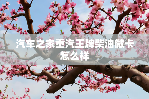 汽车之家重汽王牌柴油微卡怎么样