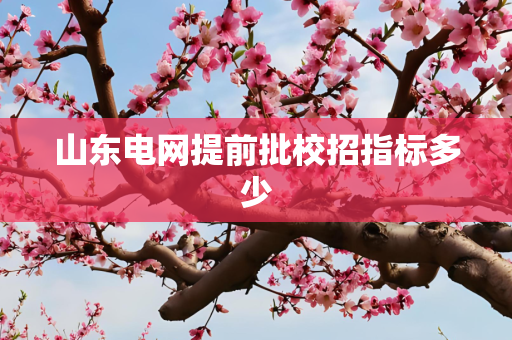 山东电网提前批校招指标多少