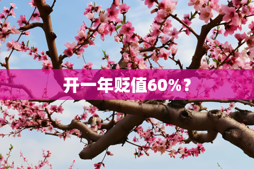 开一年贬值60%？