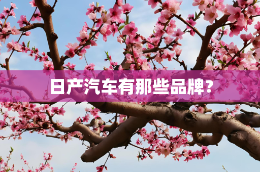 日产汽车有那些品牌？