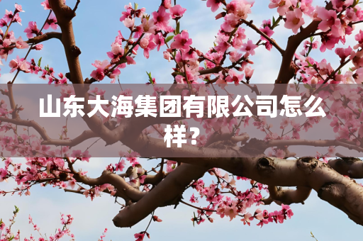 山东大海集团有限公司怎么样？