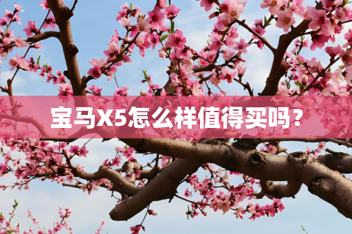 宝马X5怎么样值得买吗？