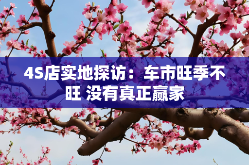 4S店实地探访：车市旺季不旺 没有真正赢家