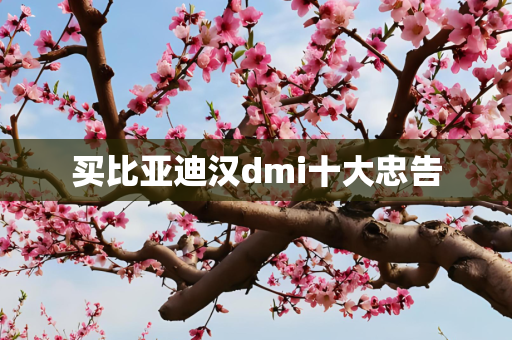 买比亚迪汉dmi十大忠告