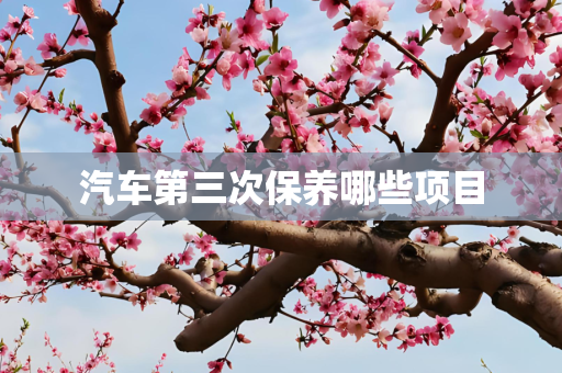 汽车第三次保养哪些项目