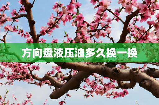 方向盘液压油多久换一换