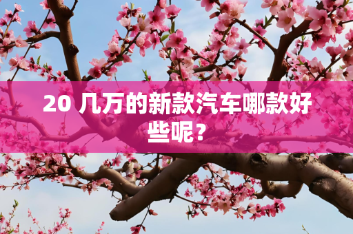 20 几万的新款汽车哪款好些呢？