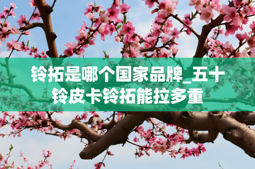 铃拓是哪个国家品牌_五十铃皮卡铃拓能拉多重
