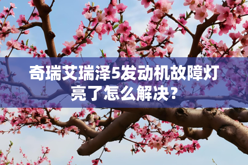 奇瑞艾瑞泽5发动机故障灯亮了怎么解决？