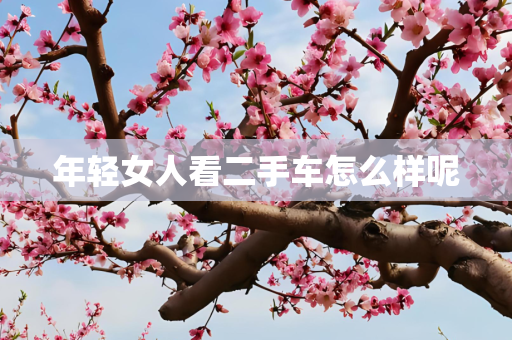 年轻女人看二手车怎么样呢
