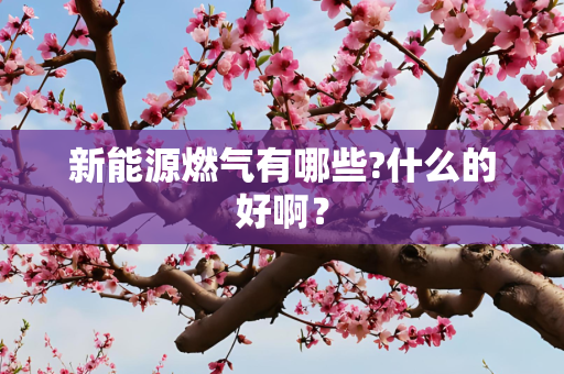 新能源燃气有哪些?什么的好啊？