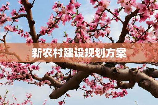 新农村建设规划方案