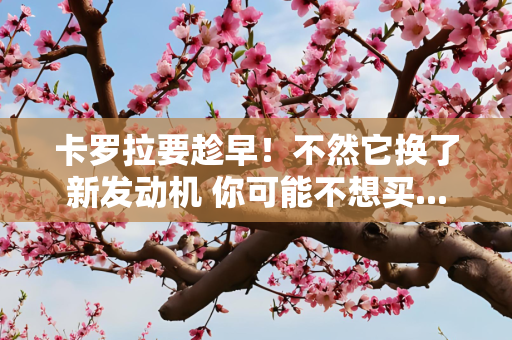 卡罗拉要趁早！不然它换了新发动机 你可能不想买...