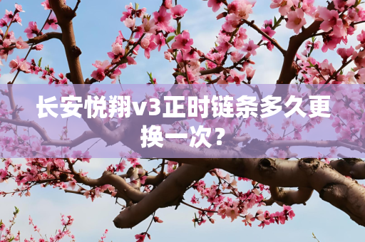 长安悦翔v3正时链条多久更换一次？
