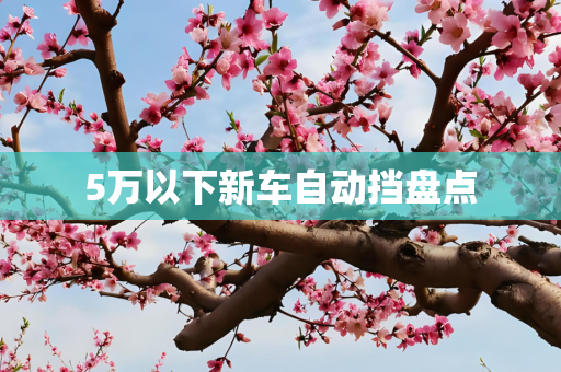 5万以下新车自动挡盘点