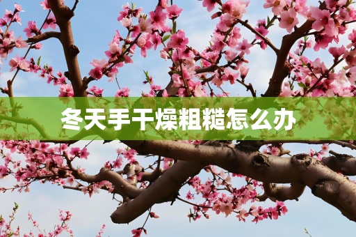 冬天手干燥粗糙怎么办