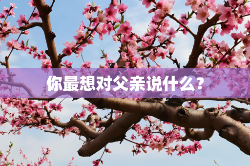 你最想对父亲说什么？