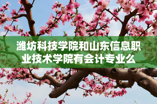 潍坊科技学院和山东信息职业技术学院有会计专业么