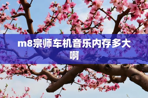 m8宗师车机音乐内存多大啊