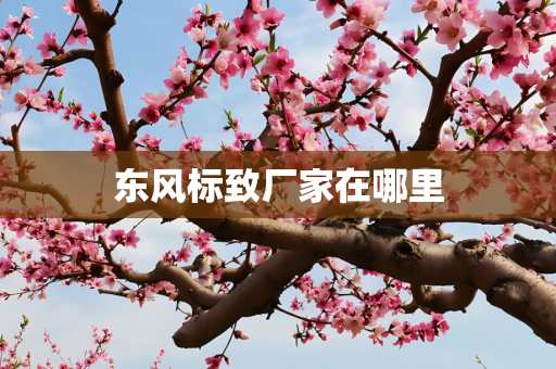 东风标致厂家在哪里