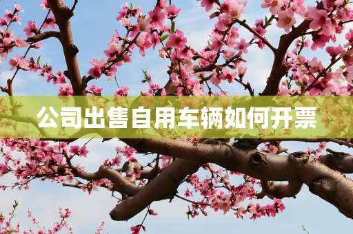 公司出售自用车辆如何开票