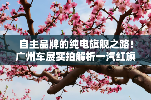 自主品牌的纯电旗舰之路！广州车展实拍解析一汽红旗E-HS9