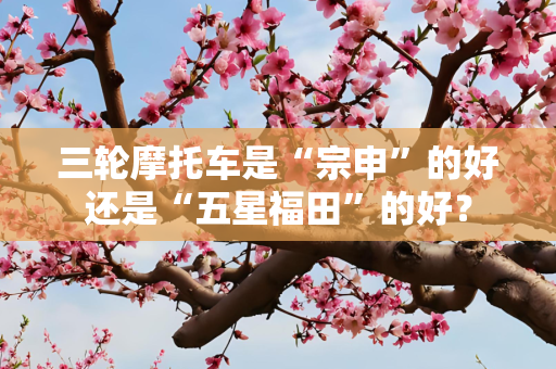 三轮摩托车是“宗申”的好还是“五星福田”的好？