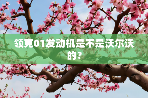 领克01发动机是不是沃尔沃的？