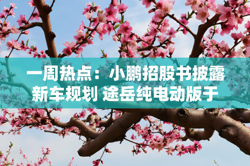 一周热点：小鹏招股书披露新车规划 途岳纯电动版于四季度上市 等
