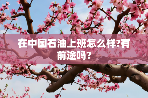 在中国石油上班怎么样?有前途吗？