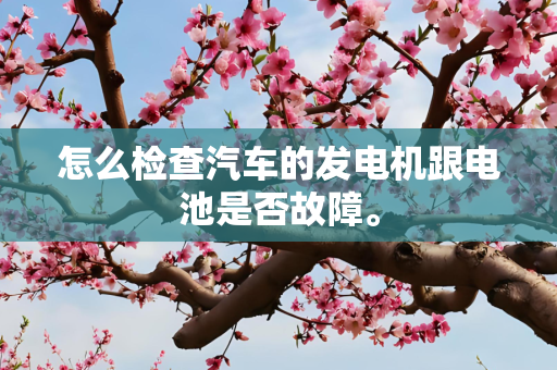 怎么检查汽车的发电机跟电池是否故障。